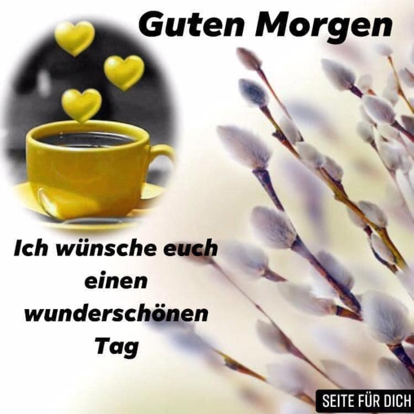 Guten Morgen ich wünsche euch einen wunderschönen tag