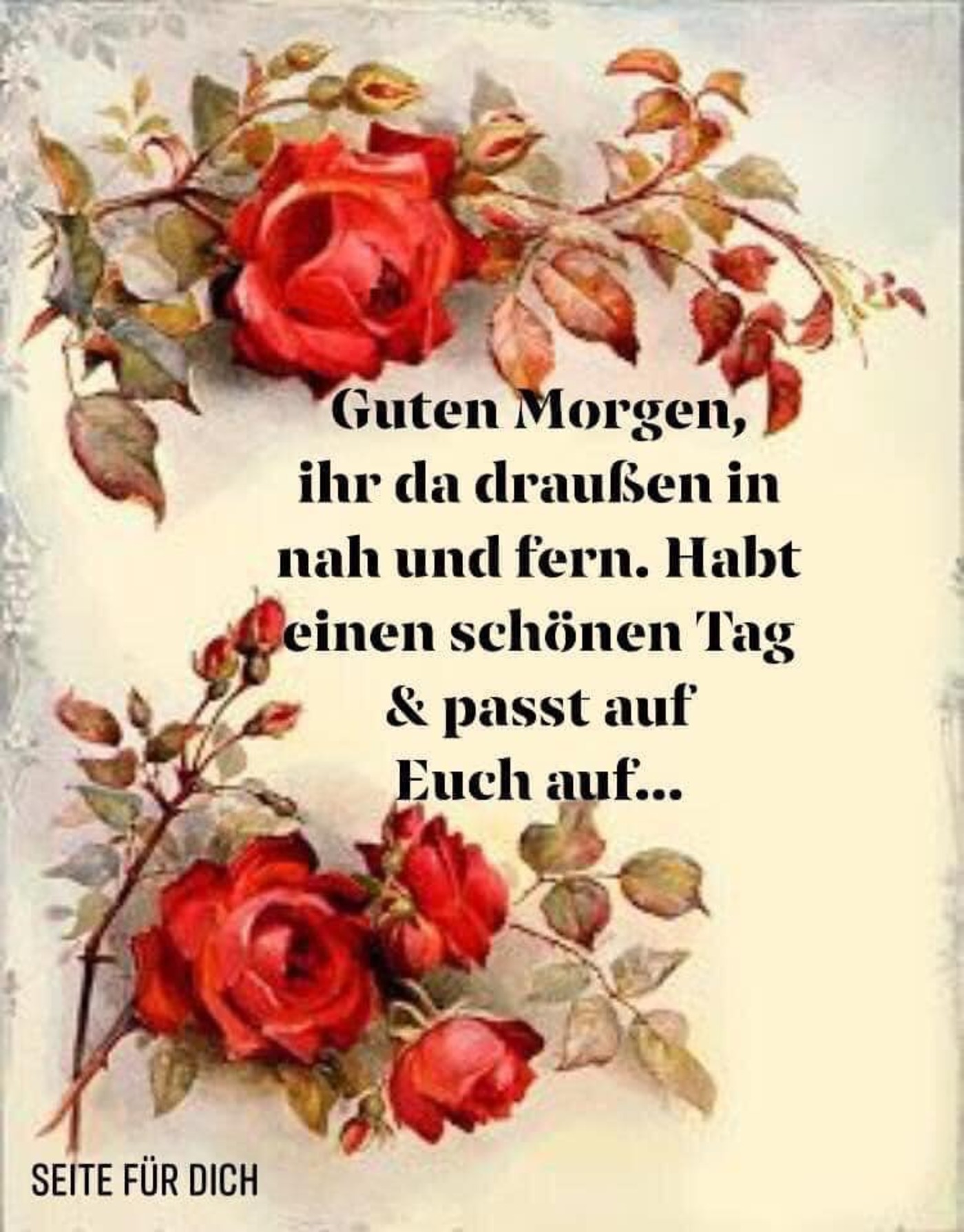 Guten Morgen ihr da draußen in nah und fern