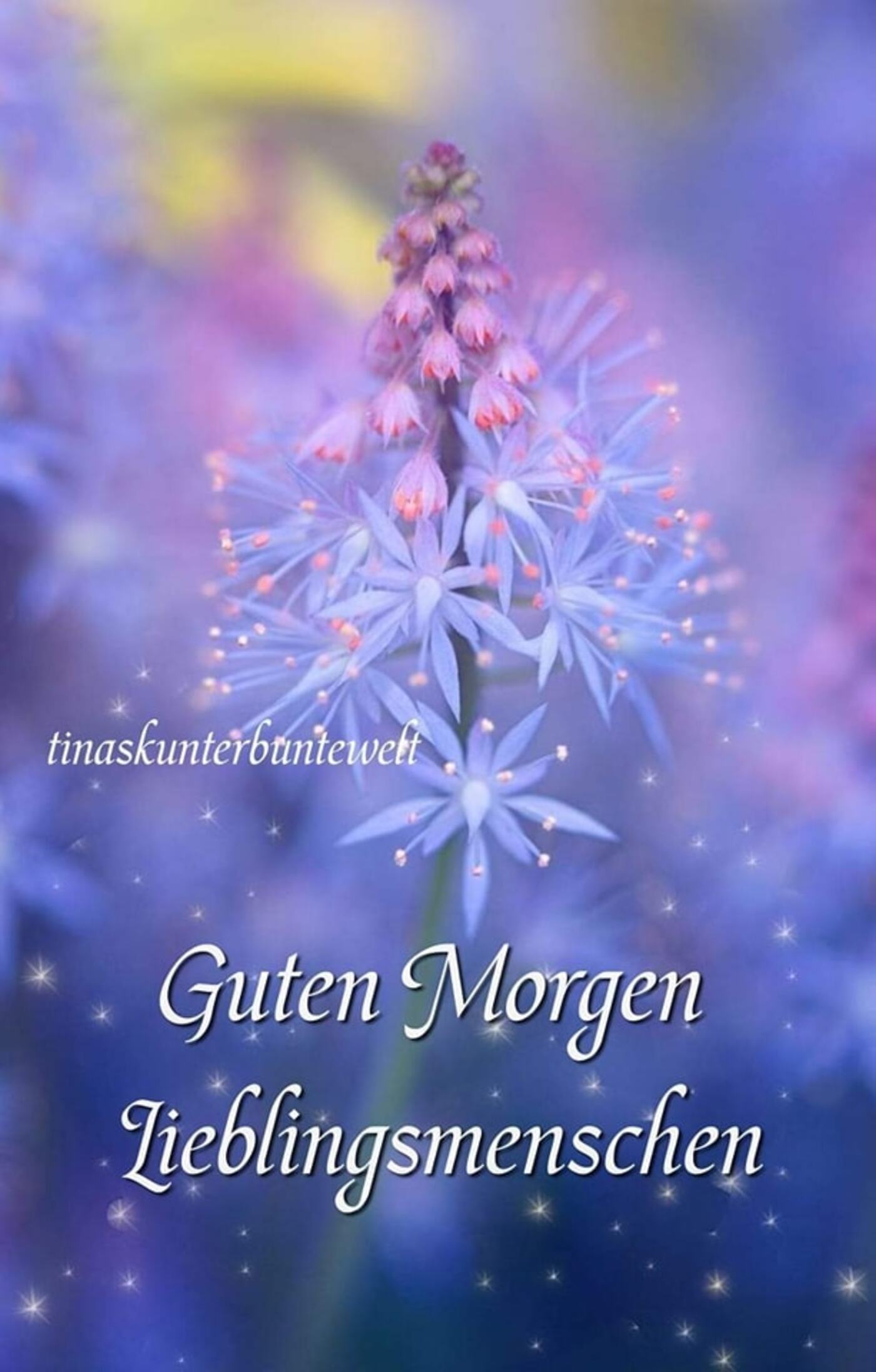 Guten Morgen lieblingsmenschen bilder