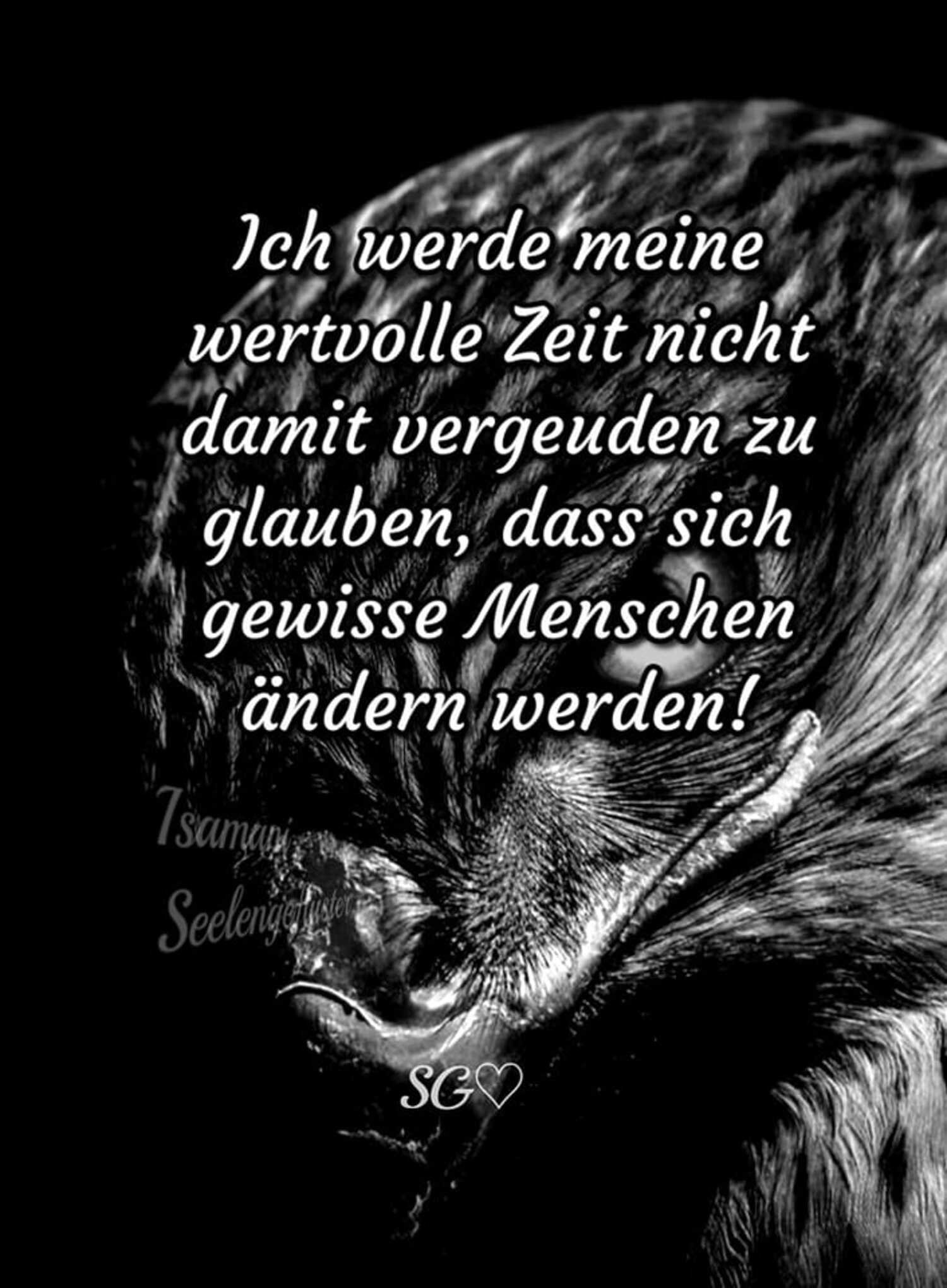 Ich werde meine wertvolle zeit nicht damit vergeuden zu glauben