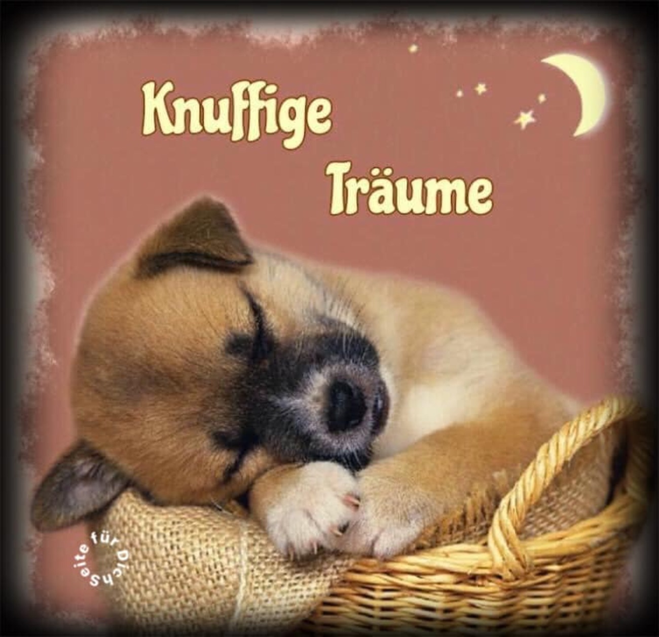 Knuffige Träume