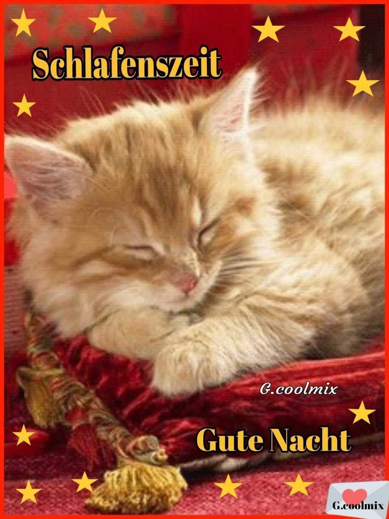 Schlafenszeit Gute Nacht