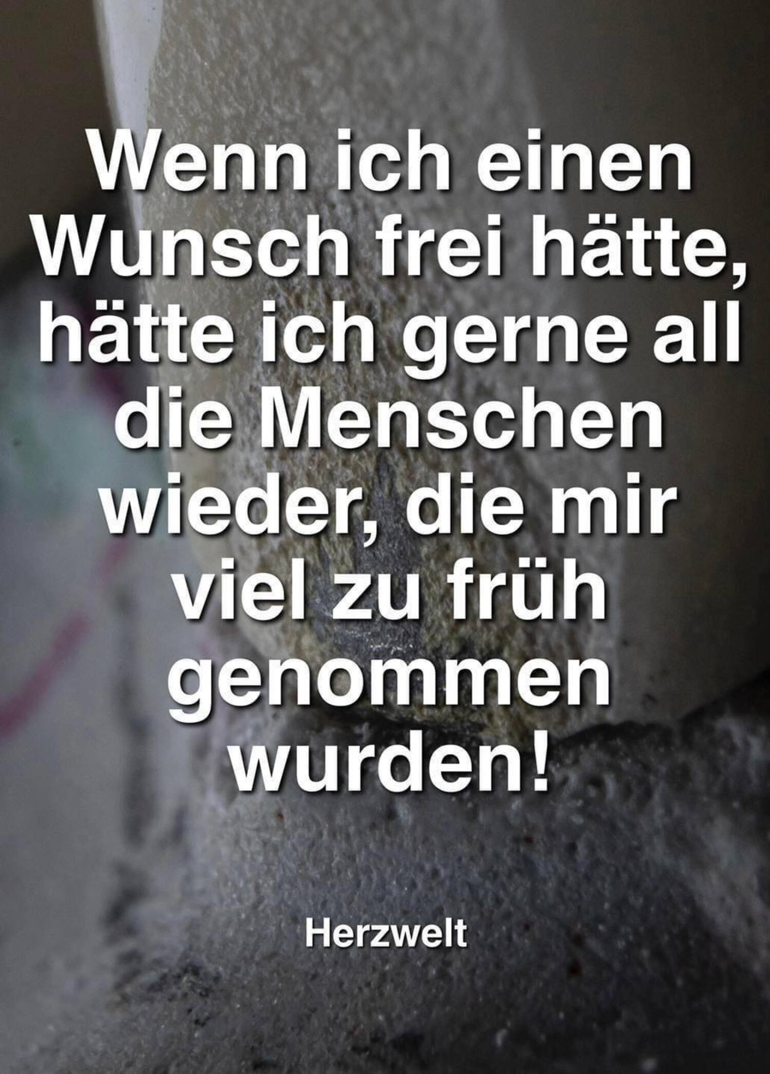Wenn ich einen wunsch frei hätte hätte ich gerne all die menschen wieder