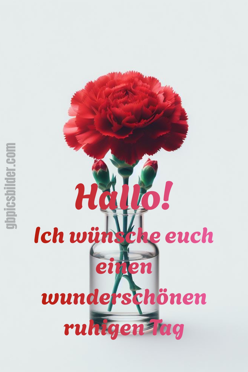 Hallo Guten Morgen 4